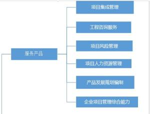 项目管理服务产品