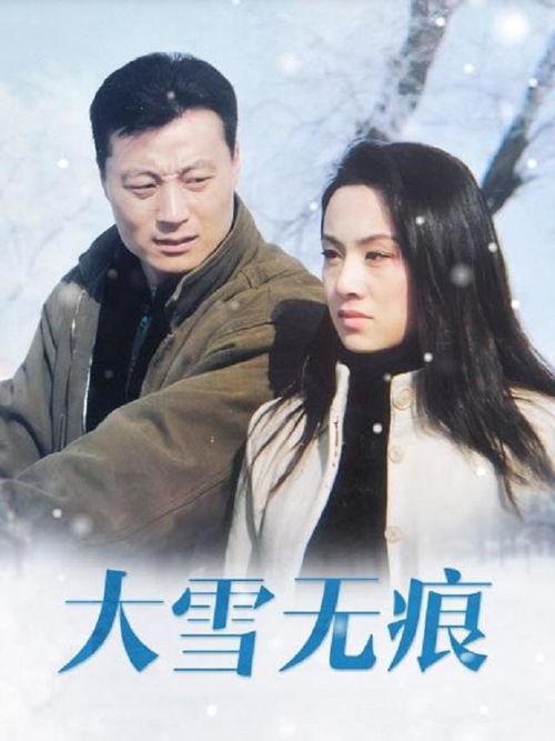 大雪无痕演员,探寻演员背后的故事与演技魅力